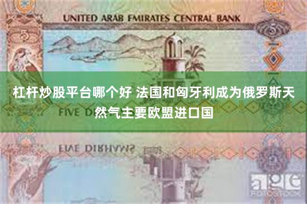 杠杆炒股平台哪个好 法国和匈牙利成为俄罗斯天然气主要欧盟进口国