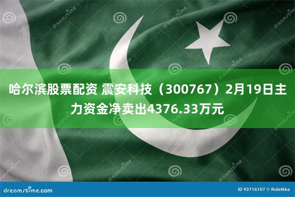 哈尔滨股票配资 震安科技（300767）2月19日主力资金净卖出4376.33万元
