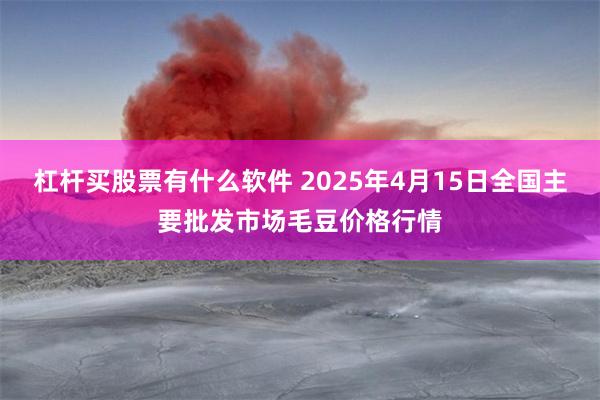 杠杆买股票有什么软件 2025年4月15日全国主要批发市场毛豆价格行情