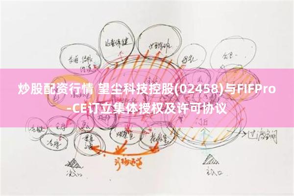 炒股配资行情 望尘科技控股(02458)与FIFPro-CE订立集体授权及许可协议