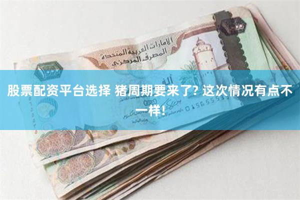股票配资平台选择 猪周期要来了? 这次情况有点不一样!