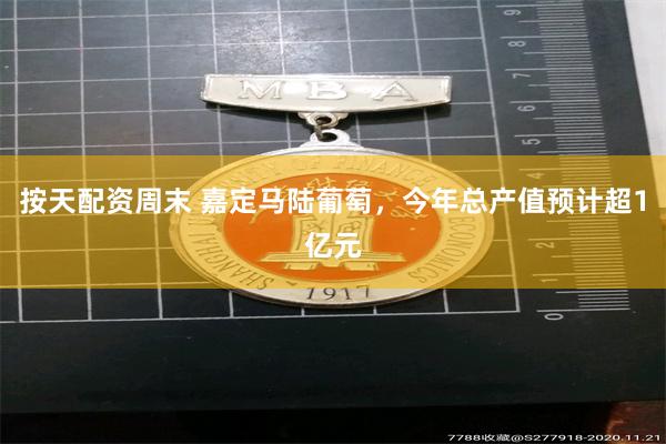按天配资周末 嘉定马陆葡萄，今年总产值预计超1亿元