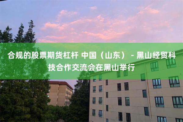 合规的股票期货杠杆 中国（山东）－黑山经贸科技合作交流会在黑山举行